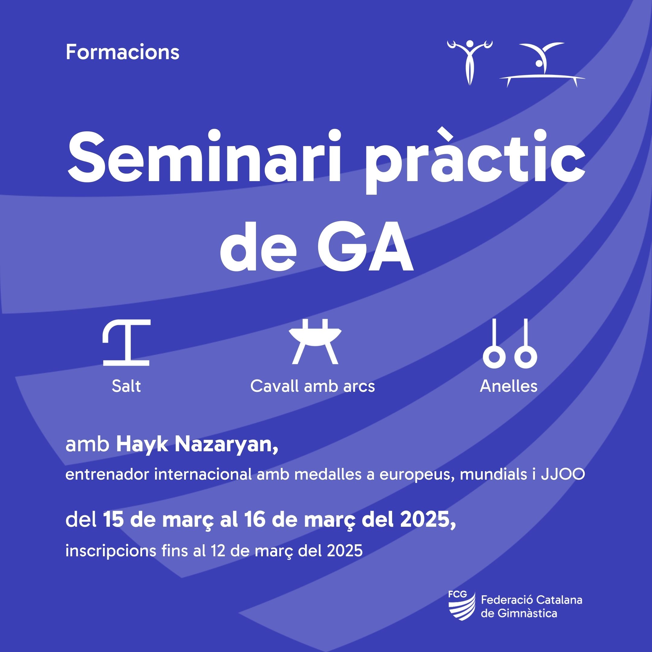 Cartell de Seminari pràctic gimnàstica artística